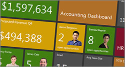 winforms-windows8-inspired-.jpg
