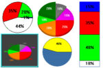 PieChart.jpg