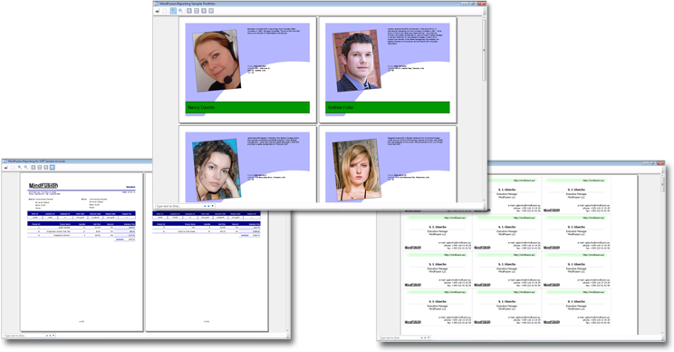 features_wpfreporting.png