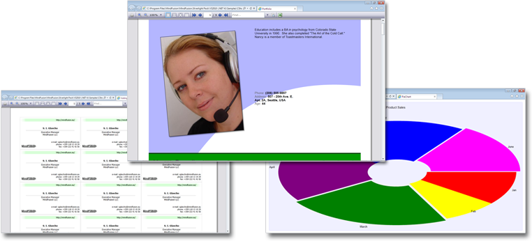 features_reportinglite.png